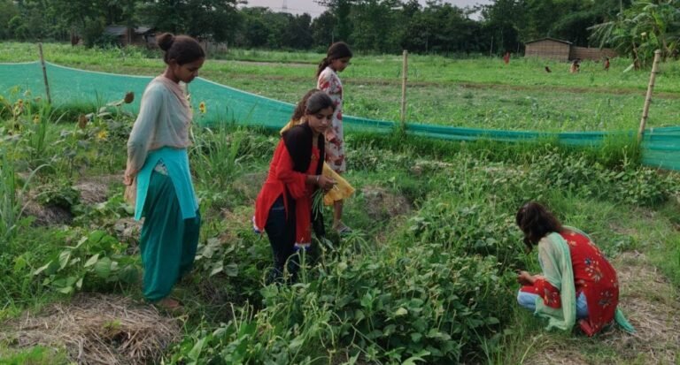 Rider cycles his way to reviving sustainable farming in Bihar